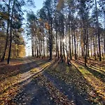 Kociewska Dacza * Pogodki