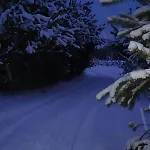 Kociewska Dacza - Komfortowy, Caloroczny Z Jacuzzi, Pomorskie, Rzeka, Lasy, Laki, Natura