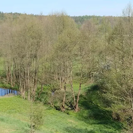 Kociewska Dacza * Pogodki