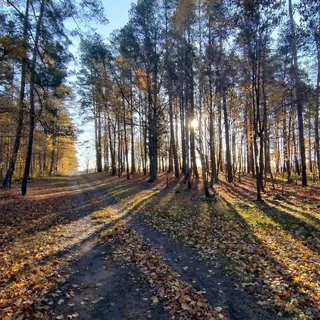 Kociewska Dacza * Pogodki
