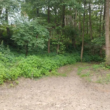 Kociewska Dacza Pogodki