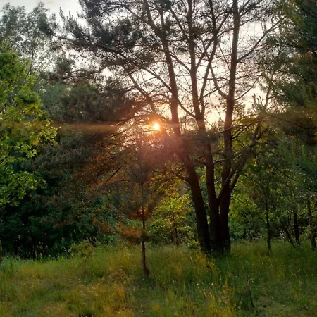 Σπίτι διακοπών Kociewska Dacza *