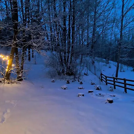 Semesterbostad Kociewska Dacza