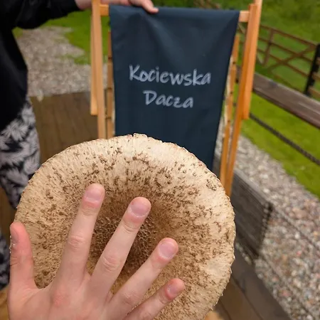 度假居 Kociewska Dacza - Komfortowy, Caloroczny Z Jacuzzi, Pomorskie, Rzeka, Lasy, Laki, Natura *