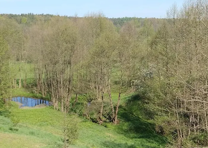 Kociewska Dacza * Pogodki