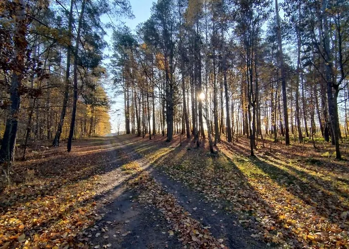 Kociewska Dacza * Pogodki