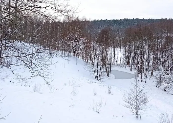 بيت للعطل Kociewska Dacza *