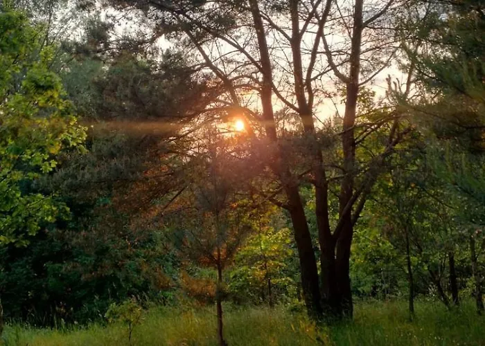 بيت للعطل Kociewska Dacza *